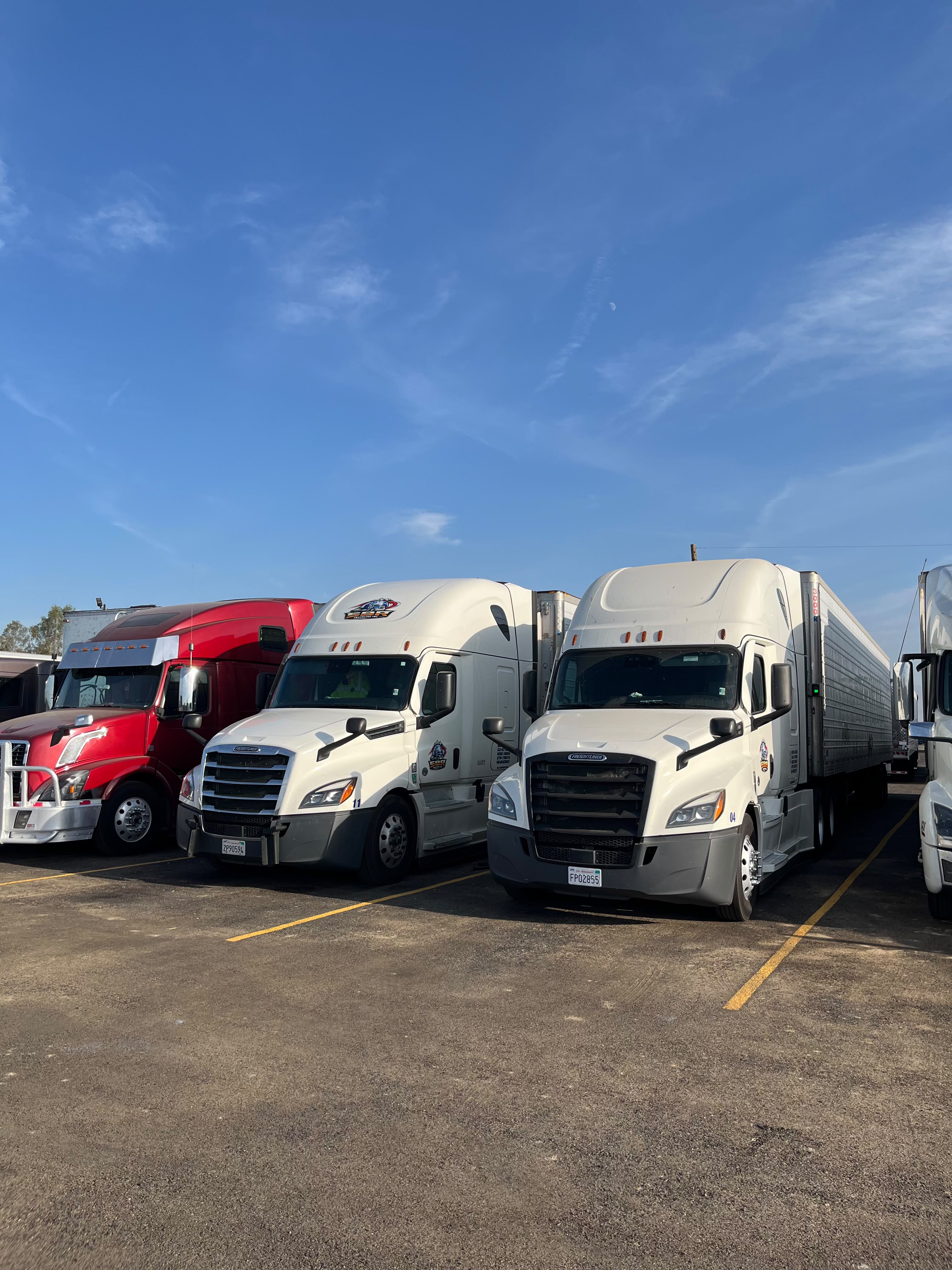 SBR fleet prepared for freight services